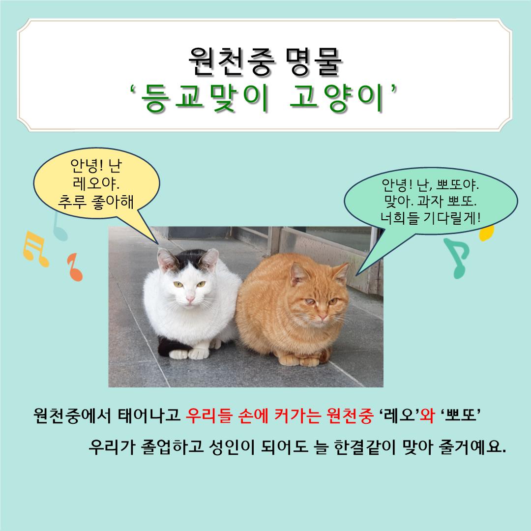학교홍보 이미지