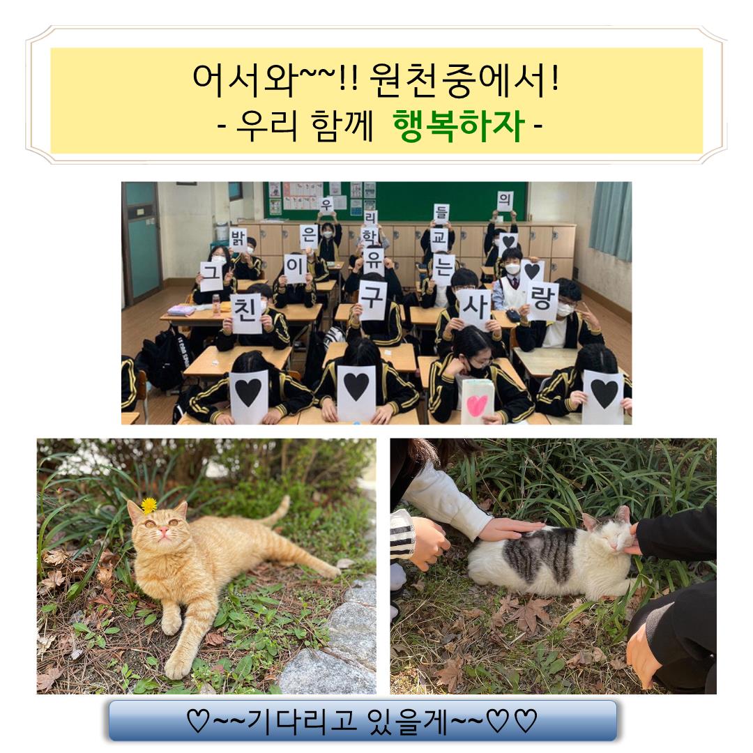 학교홍보 이미지